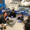 5 students sitting at a table in blue gloves looking at a large fish on a grey tray. 
